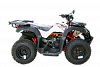 Квадроцикл Kayo (Кайо) AU150 CVT ПТС 2024г.